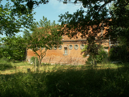 eco20