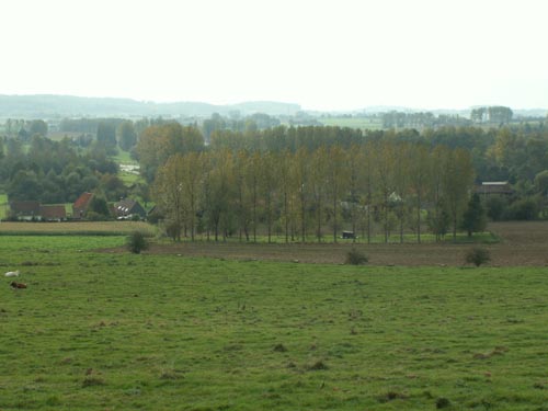 PICT5962
