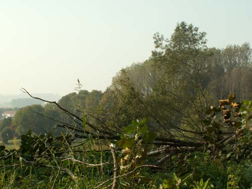 PICT5724