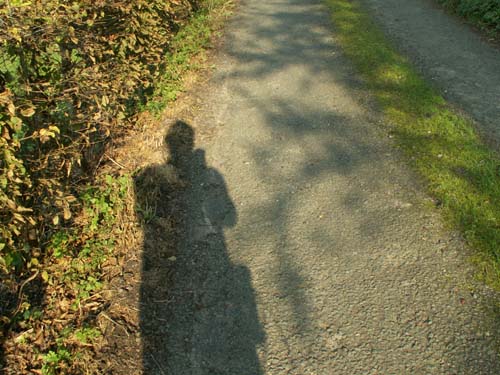 PICT5737