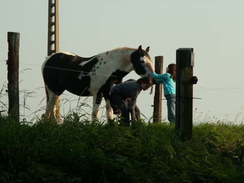 PICT5767