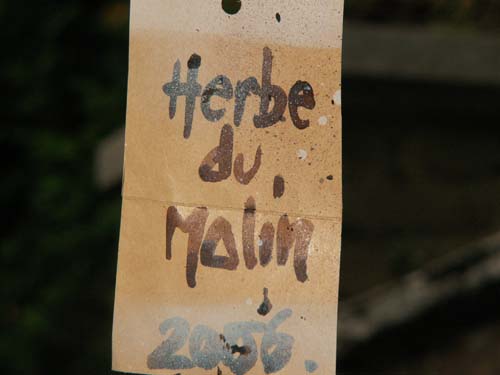 PICT5361